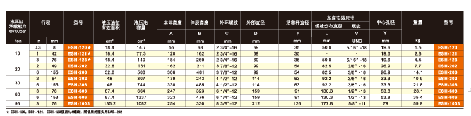 美國(guó)EAGLE ESH單作用中空液壓缸技術(shù)參數(shù)