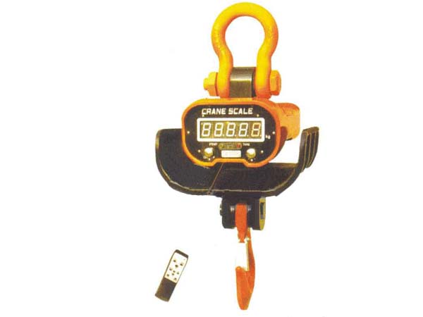 美國(guó)艾培爾 直視型電子吊秤CSR-G